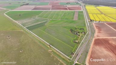 Other (Rural) For Sale - NSW - Whitton - 2705 - FARM "1764" - REDEVELOP, CROP OR STOCK  (Image 2)