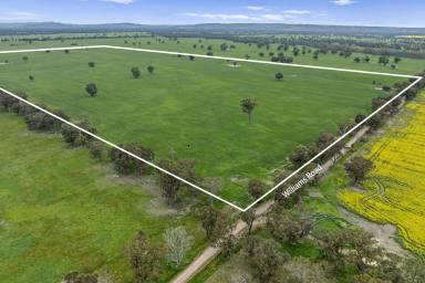 Cropping For Sale - VIC - Nagambie - 3608 - 320-Acre Cropping/Grazing Opportunity  (Image 2)