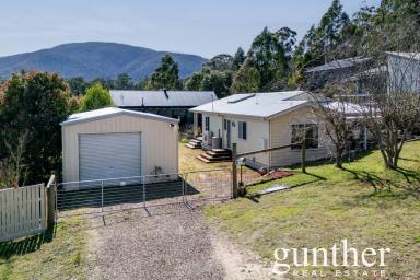 House Sold - VIC - Marysville - 3779 - Another property SOLD by Gunther Real Estate. Proudly selling the Yarra Valley for over 20 years - Trusted. Proven. Local.  (Image 2)