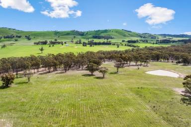 Residential Block For Sale - VIC - Redcastle - 3523 - A magnificent weekend retreat set amongst the wine region!  (Image 2)