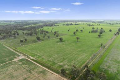 Cropping For Sale - VIC - Miepoll - 3666 - "Carcoar" Lifestyle, Cropping & Infrastructure  (Image 2)