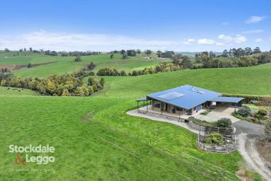 Acreage/Semi-rural For Sale - VIC - Mirboo North - 3871 - PANORAMIC VIEWS, PRODUCTIVE ACREAGE & LIFESTYLE FREEDOM  (Image 2)
