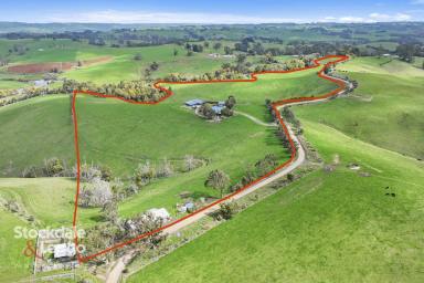 Acreage/Semi-rural For Sale - VIC - Mirboo North - 3871 - PANORAMIC VIEWS, PRODUCTIVE ACREAGE & LIFESTYLE FREEDOM  (Image 2)