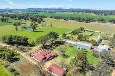 Mixed Farming For Sale - NSW - Grenfell - 2810 - CHARMING 1926 HOMESTEAD SET ON 2,115ACRES OF GRAZING & FARMING COUNTRY (Image 2)