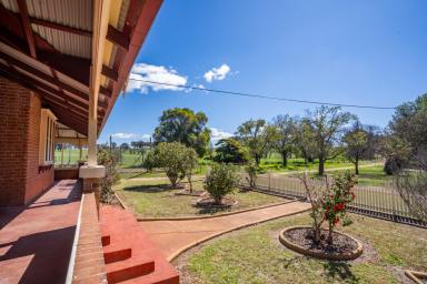 Mixed Farming For Sale - NSW - Grenfell - 2810 - CHARMING 1926 HOMESTEAD SET ON 2,115ACRES OF GRAZING & FARMING COUNTRY  (Image 2)