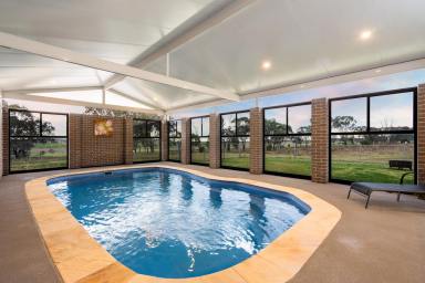 Lifestyle For Sale - QLD - Linthorpe - 4356 - Executive Rural Lifestyle On The Doorstep Of Toowoomba  (Image 2)
