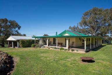 Acreage/Semi-rural For Sale - NSW - Orange - 2800 - Beautiful 220acres* of open grazing block, with charming homestead  (Image 2)