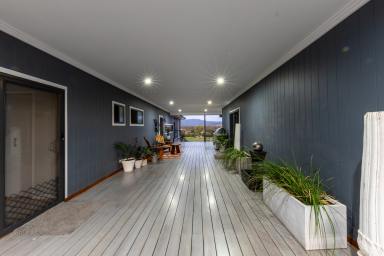 Acreage/Semi-rural For Sale - NSW - Narrabri - 2390 - PRIVATE EQUINE SANCTUARY WITH DESIGNER RESIDENCE AND PANORAMIC VIEWS  (Image 2)