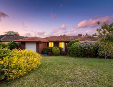 House For Sale - WA - Cloverdale - 6105 - BIG BLOCK & FAMILY HOME  (Image 2)