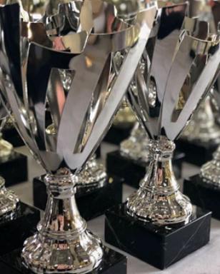 Business For Sale - QLD - Underwood - 4119 - Trophy & Awards Business - Established, Profitable & Reputable (Image 2)