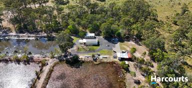 Lifestyle For Sale - QLD - Pacific Haven - 4659 - GO FISHING WITHOUT THE BOAT  (Image 2)