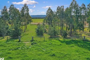 Other (Rural) For Sale - VIC - Yarram - 3971 - RARE RECREATIONAL BLOCK ON YARRAM'S EDGE  (Image 2)