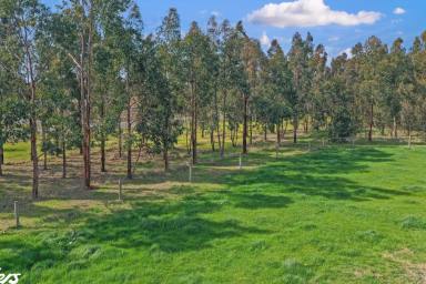 Other (Rural) For Sale - VIC - Yarram - 3971 - RARE RECREATIONAL BLOCK ON YARRAM'S EDGE  (Image 2)