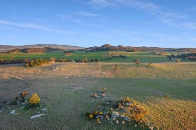 Mixed Farming For Sale - NSW - Gooloogong - 2805 - RENT+BUY ARRANGEMENT AVAILABLE – IMMEDIATE ACCESS!  (Image 2)