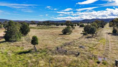 Other (Rural) Sold - NSW - Tarriaro - 2390 - Versatile Grazing Property with Fertile Soils and Water Security  (Image 2)