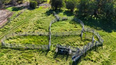 Other (Rural) Sold - NSW - Tarriaro - 2390 - Versatile Grazing Property with Fertile Soils and Water Security  (Image 2)