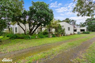 Acreage/Semi-rural For Sale - VIC - Langsborough - 3971 - HIDDEN FARMLET CLOSE TO PORT ALBERT  (Image 2)