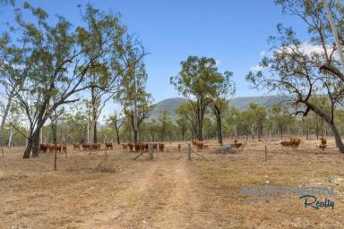 Acreage/Semi-rural For Sale - QLD - Majors Creek - 4816 - Country Lifestyle Retreat with Water and Infrastructure  (Image 2)