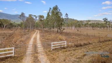 Acreage/Semi-rural For Sale - QLD - Majors Creek - 4816 - Country Lifestyle Retreat with Water and Infrastructure  (Image 2)