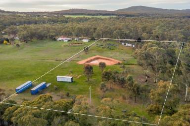 Residential Block For Sale - VIC - Welshmans Reef - 3462 - Country Living Between Forest & Lake  (Image 2)