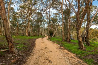 Residential Block For Sale - VIC - Welshmans Reef - 3462 - Country Living Between Forest & Lake  (Image 2)