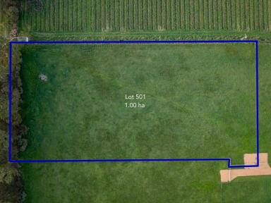 Residential Block For Sale - SA - Penola - 5277 - Your ultimate lifestyle awaits  (Image 2)