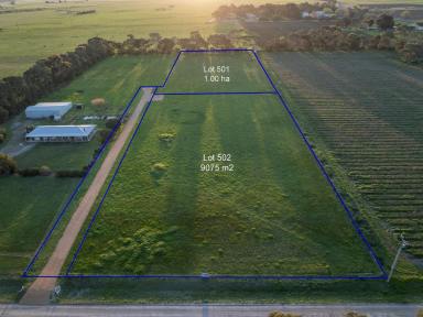 Residential Block For Sale - SA - Penola - 5277 - Your ultimate lifestyle awaits  (Image 2)