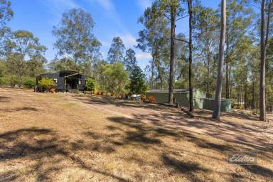 House For Sale - QLD - Glenwood - 4570 - CHARMING COUNTRY CABIN WITH SHED  (Image 2)