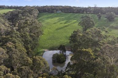 Lifestyle For Sale - VIC - Bambra - 3241 - ATTRACTIVE BAMBRA PROPERTY  (Image 2)