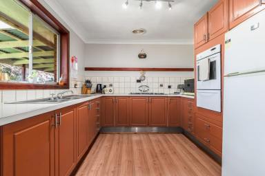Lifestyle Auction - NSW - Spring Terrace - 2798 - CHARMING HOMESTEAD ON 20 ACRES, MINUTES FROM TOWN  (Image 2)
