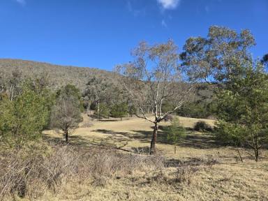 Residential Block For Sale - VIC - Swifts Creek - 3896 - WEEKENDER BLOCK IN THE HIGH COUNTRY  (Image 2)
