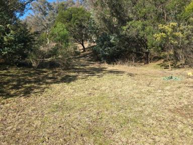 Residential Block For Sale - VIC - Swifts Creek - 3896 - WEEKENDER BLOCK IN THE HIGH COUNTRY  (Image 2)