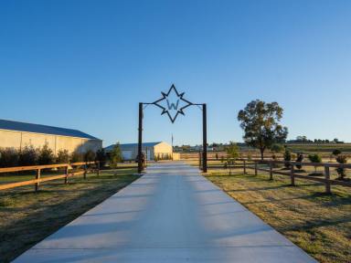 Lifestyle For Sale - QLD - Freestone - 4370 - SUPERIOR, SUPERB, SENSATIONAL, an OUTSTANDING PROPERTY  (Image 2)