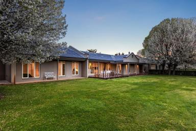Lifestyle For Sale - VIC - Emu Creek - 3551 - Emu Creek Opportunity – Home, Sheds & Land  (Image 2)