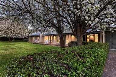 Lifestyle For Sale - VIC - Emu Creek - 3551 - Emu Creek Opportunity – Home, Sheds & Land  (Image 2)