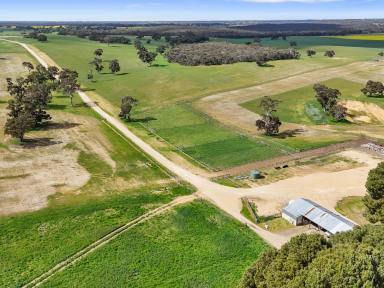 Mixed Farming For Sale - SA - Mundulla - 5270 - Well managed & highly maintained very productive property in a prime location  (Image 2)