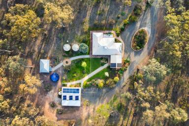 Lifestyle For Sale - VIC - Axe Creek - 3551 - Peaceful Bush Retreat on 20 Acres  (Image 2)