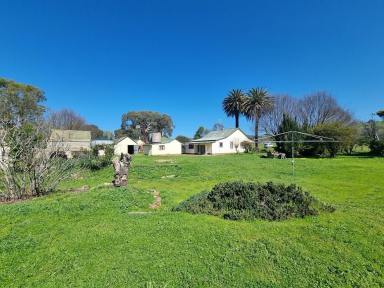 House For Sale - NSW - Tumblong - 2729 - Rural Cottage with Picturesque Block  (Image 2)