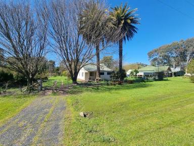 House For Sale - NSW - Tumblong - 2729 - Rural Cottage with Picturesque Block  (Image 2)