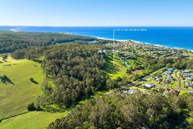 Other (Rural) For Sale - NSW - Kianga - 2546 - "301 Dalmeny Drive" - 2 Minutes to Local Beaches & 2km to Narooma  (Image 2)