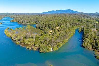 Lifestyle For Sale - NSW - Narooma - 2546 - Stunning Prime Waterfront Address on Wagonga Inlet  (Image 2)