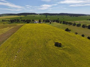 Mixed Farming For Sale - WA - Greenhills - 6302 - Glenmore Farm, Greenhills       733ha (1810acres)  (Image 2)