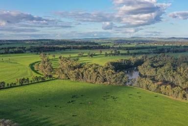 Acreage/Semi-rural For Sale - NSW - Wagga Wagga - 2650 - Quintessential Australian Riverside Paradise  (Image 2)