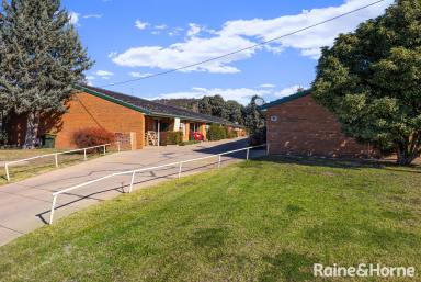 House For Sale - NSW - Wagga Wagga - 2650 - Three Bedroom Central Investment  (Image 2)