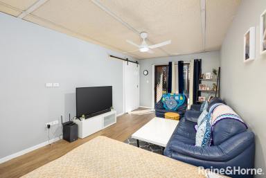 House For Sale - NSW - Wagga Wagga - 2650 - Three Bedroom Central Investment  (Image 2)