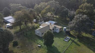 Lifestyle For Sale - VIC - Dorodong - 3312 - Escape to the Country – Renovator’s Opportunity  (Image 2)