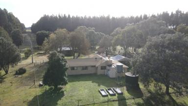 Lifestyle For Sale - VIC - Dorodong - 3312 - Escape to the Country – Renovator’s Opportunity  (Image 2)