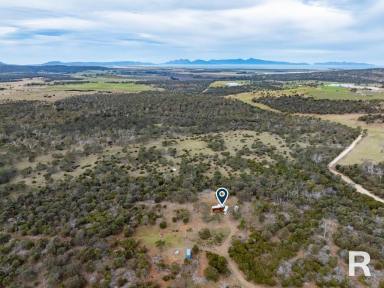 House For Sale - TAS - Swansea - 7190 - Live, Relax, Rejuvenate  (Image 2)