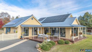 House For Sale - VIC - Myrtleford - 3737 - Stunning Family Home (Image 2)