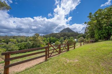 House For Sale - QLD - Pomona - 4568 - Classic Queenslander Plus Thriving Home Business  (Image 2)